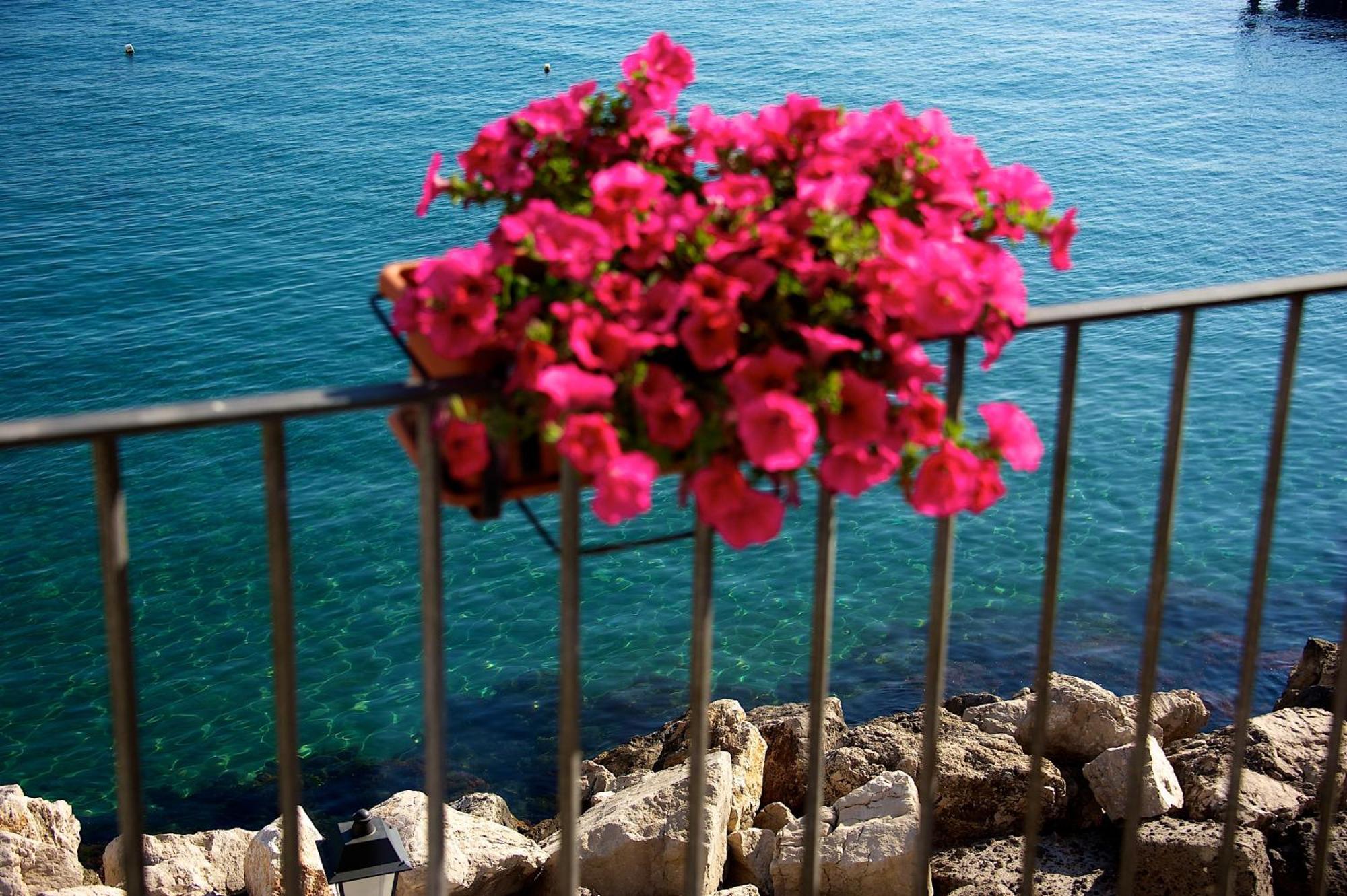 Villa Lieta Ischia Buitenkant foto
